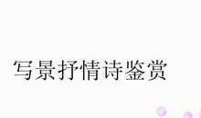 描写抒情的诗句