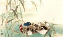 古诗中含有鸟的诗句