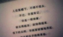 表示兄弟情义的句子