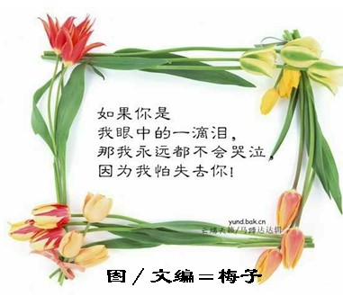 非主流爱情名言