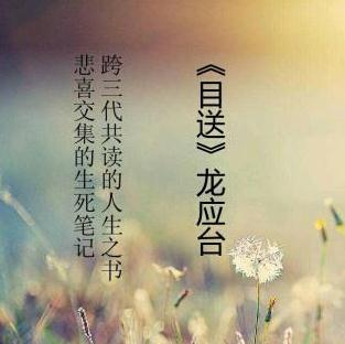 龙应台儿童经典语录