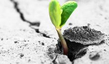 正确面对逆境的名言