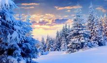 有关于描写雪的诗句