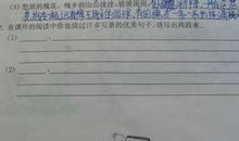 表示环境优美的句子