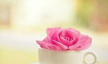 关于好心情经典句子