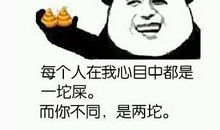 经典骂人带脏字的话