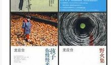 龙应台作品经典语录