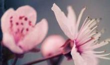 80后成熟个性签名