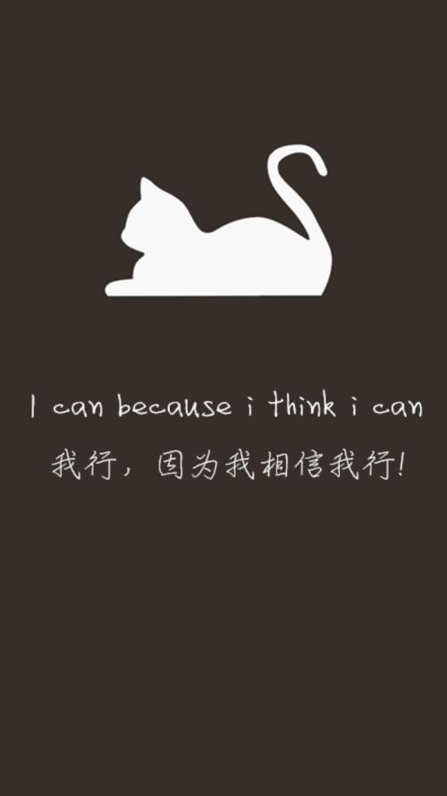 关于猫的英语句子