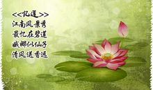 描写莲花的古诗句