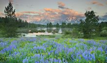 形容中奖很开心的句子 得奖开心的句子