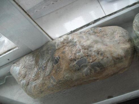 保护黄河的著名格言