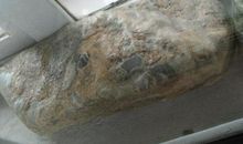 保护黄河的名言警句