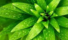 关于心情惆怅的句子