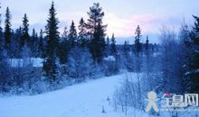 描写冬天寒冷的好句