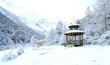 冬天下雪的句子