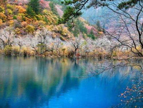 每天快乐快乐的能量句子每天生活美丽的句子