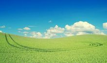 描写大自然美的诗句