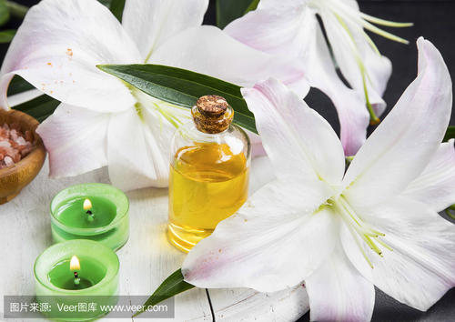 描述百合的句子