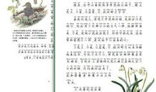 带有春夏秋冬的成语