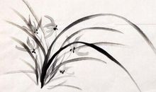 有关兰花的诗句