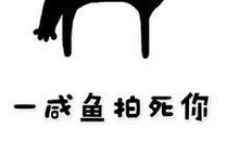 2018经典爆笑语录