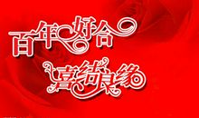 祝贺新婚的成语