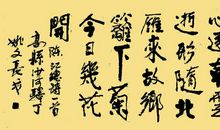 借雁抒情的诗句