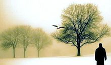 摆渡人经典语句