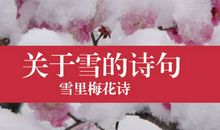 描写雪的爱情诗句
