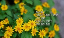 最经典励志个性签名