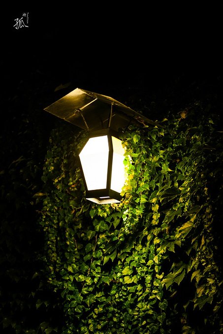 关于把爱放在风景上的诗