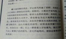 鲁滨孙漂流记好词好句