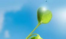 励志的唯美句子