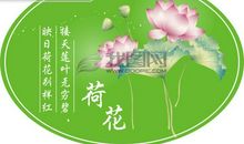 荷花赞美的诗句