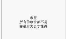 懂得珍惜爱情的句子