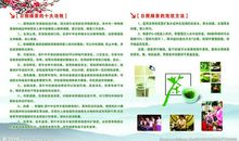 标语或广告词10条