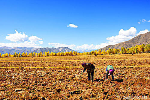 描述农民工作的句子
