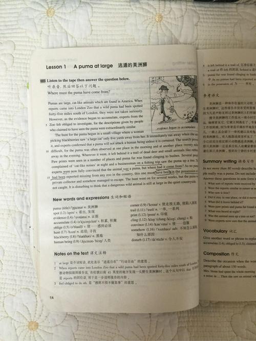 谢谢老师的英语经文