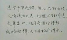 爱情优美句子摘抄