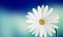 qq签名暗恋男生