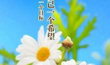 励志的好词好句