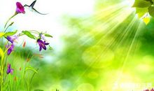 关于初夏的词语