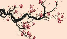 陆游赞美梅花的诗句