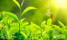 含有植物的谚语