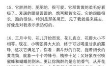 6年级好词好句积累