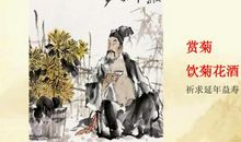 描述兄弟情义的诗词