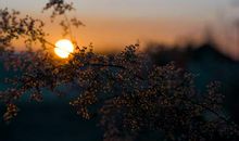 太阳落山的句子