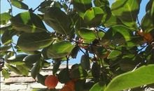 描述秋天的文艺句子