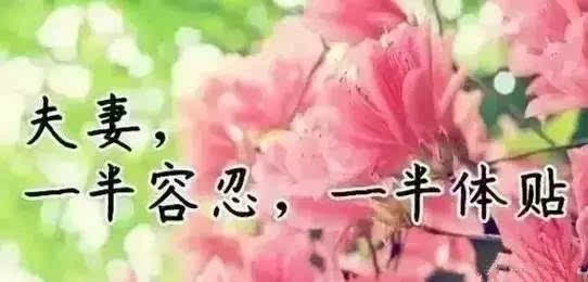 老同学友谊的句子